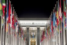 United Nations Graduate Study Programme (GSP) 2026