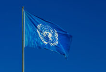 UNDP Hiring: Remote Knowledge Management Intern – Apply Now!