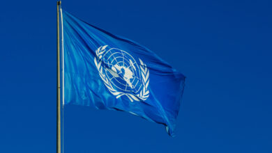 UNDP Hiring: Remote Knowledge Management Intern – Apply Now!