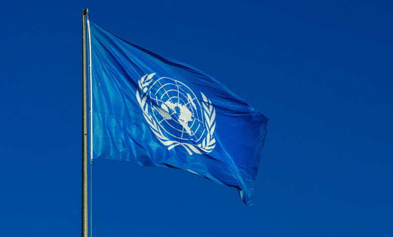 UNDP Hiring: Remote Knowledge Management Intern – Apply Now!