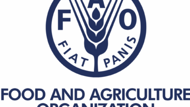 FAO Home-Based Jobs 2026 | Exciting Remote UN Career Opportunities